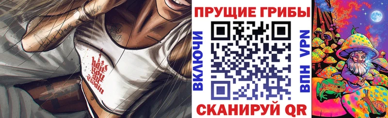 Купить закладки  Болотное  Галлюциногенные грибы мицелий 