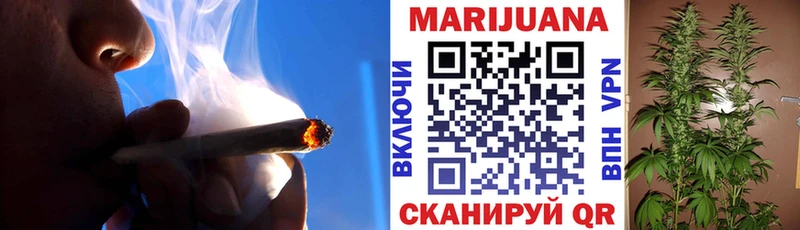 Купить  Болотное  Бошки Шишки индика 